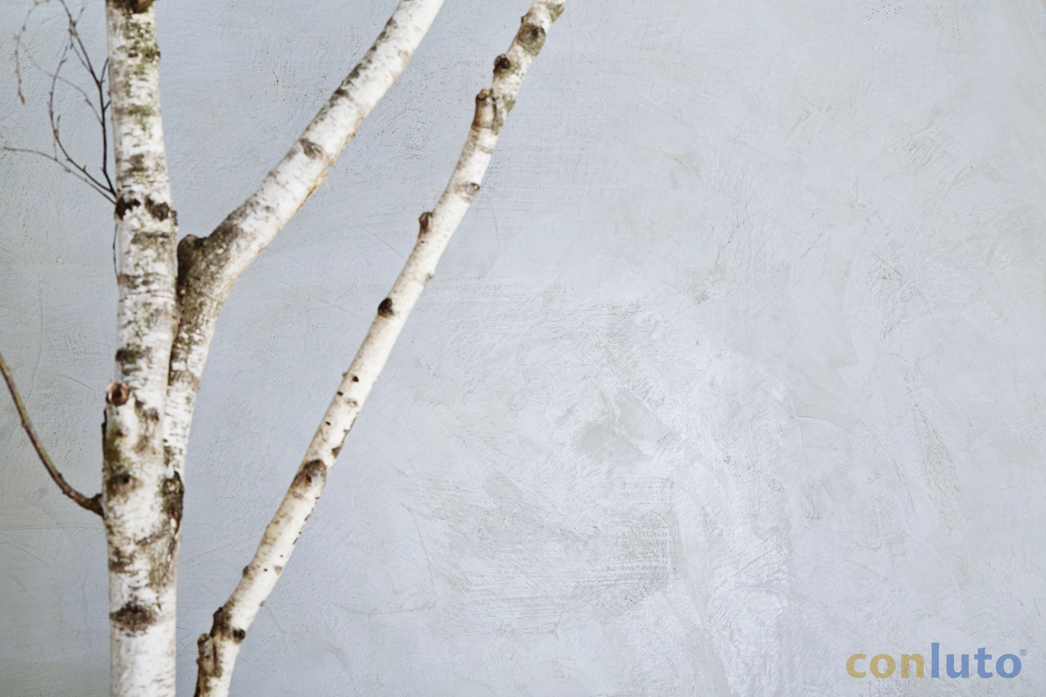 Toni´s Farbenspiel Malermeister - Malermeister - Lehmputz